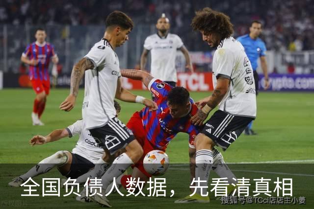 全国负债人数据，先看清真相