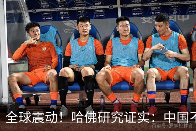 全球震动！哈佛研究证实：中国不是崛起，而是正在慢慢回归