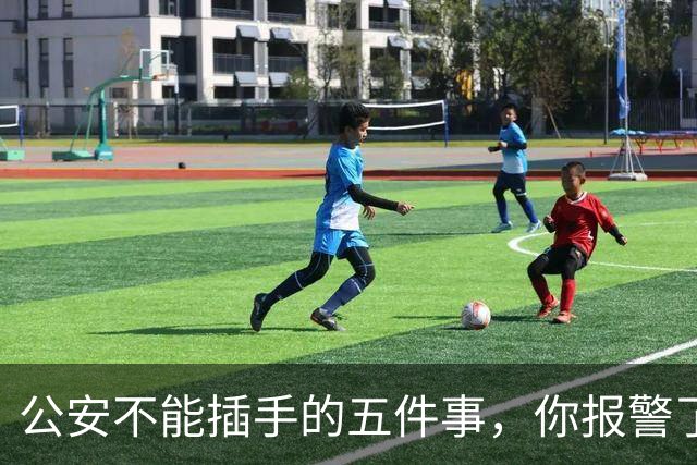 公安不能插手的五件事，你报警了也没用，该找谁？