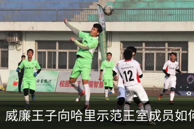威廉王子向哈里示范王室成员如何真正接受电视采访，差距一目了然