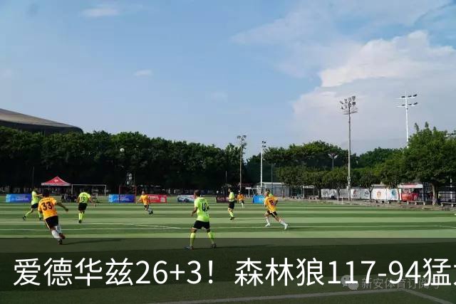 爱德华兹26+3！森林狼117-94猛龙，看数据：他是头号功臣！