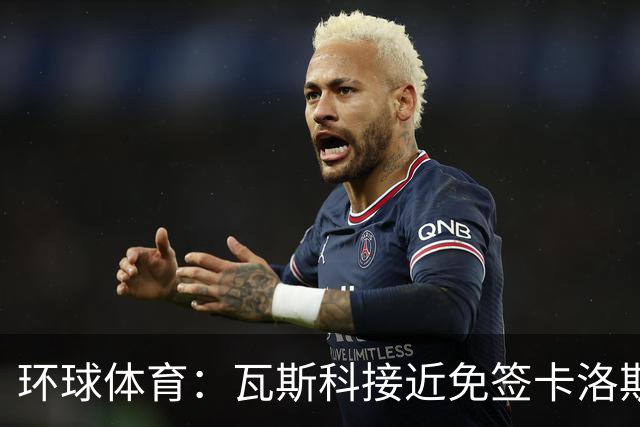环球体育：瓦斯科接近免签卡洛斯-维尼修斯
