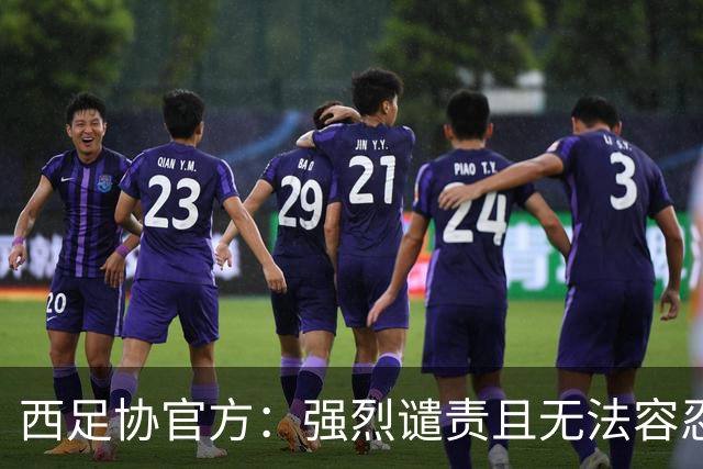 西足协官方：强烈谴责且无法容忍侮辱维尼修斯的行为