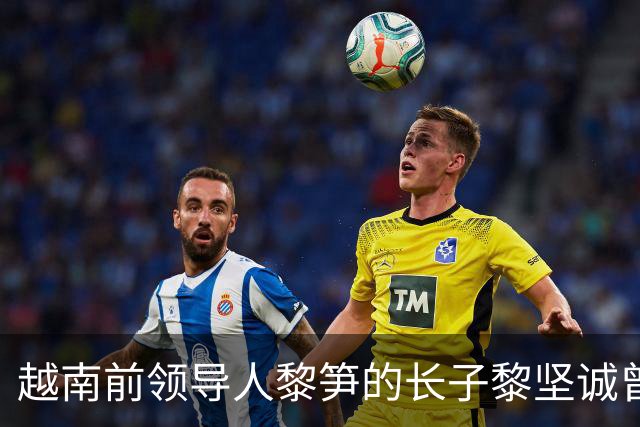 越南前领导人黎笋的长子黎坚诚曾在采访中，当年父亲之所以对中国采取强硬行动，是因为越南高层认为自己已经凑齐了三张足以取胜的“底牌”