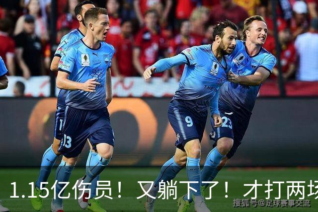 1.15亿伤员！又躺下了！才打两场！猛龙赌输了吗？
