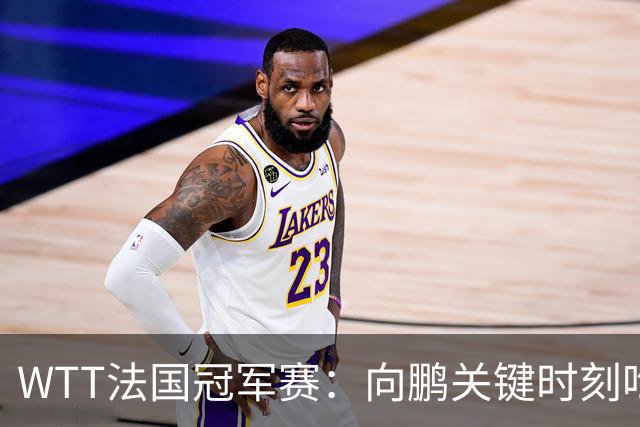 WTT法国冠军赛：向鹏关键时刻吃俩发球，2-3惜败不敌老将奥恰洛夫